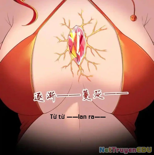 Anh Hùng Giai Cấp Tư Sản Chapter 102 - Trang 4