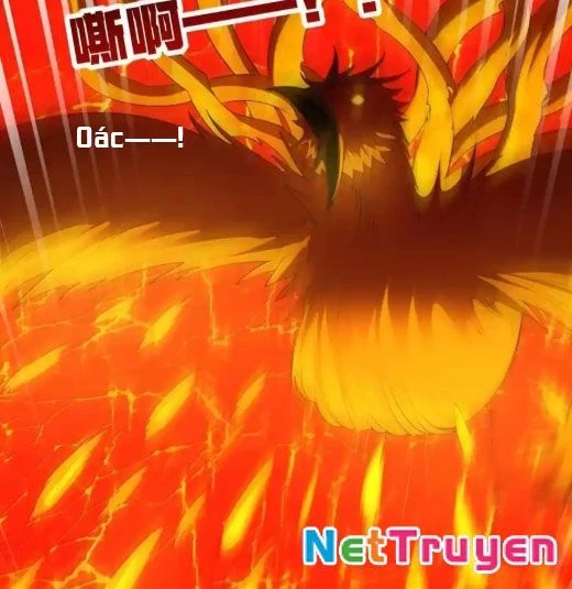 Anh Hùng Giai Cấp Tư Sản Chapter 102 - Trang 4