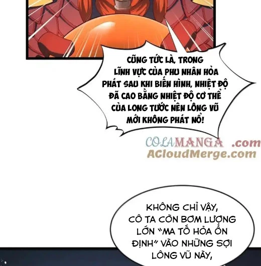 Anh Hùng Giai Cấp Tư Sản Chapter 102 - Trang 4