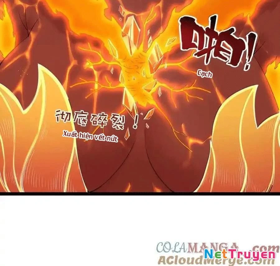 Anh Hùng Giai Cấp Tư Sản Chapter 104 - Trang 4