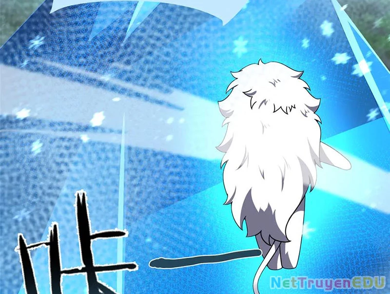 Thần Sủng Tiến Hóa Chapter 384 - Trang 4