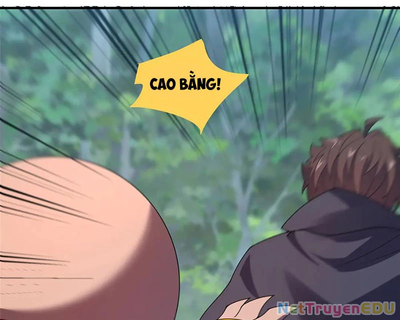 Thần Sủng Tiến Hóa Chapter 384 - Trang 4