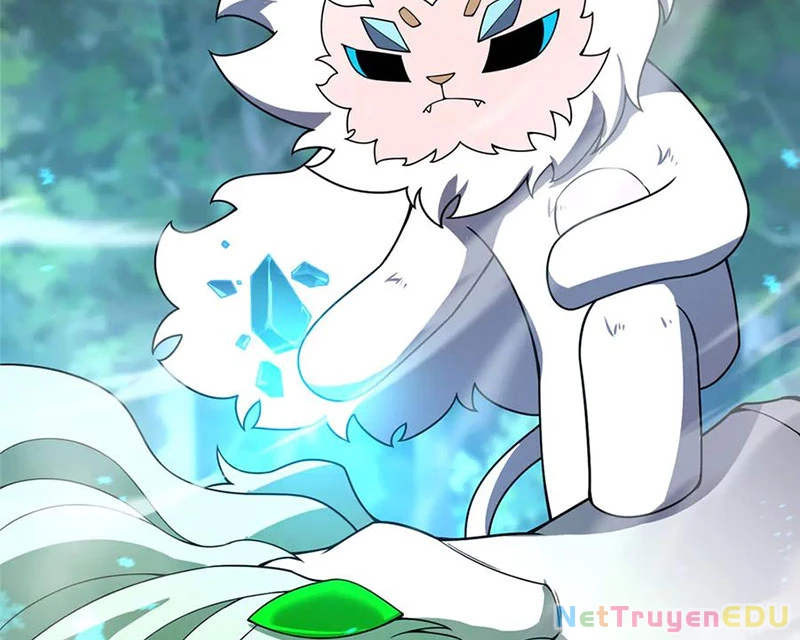 Thần Sủng Tiến Hóa Chapter 384 - Trang 4