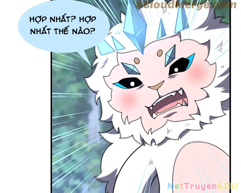 Thần Sủng Tiến Hóa Chapter 384 - Trang 4