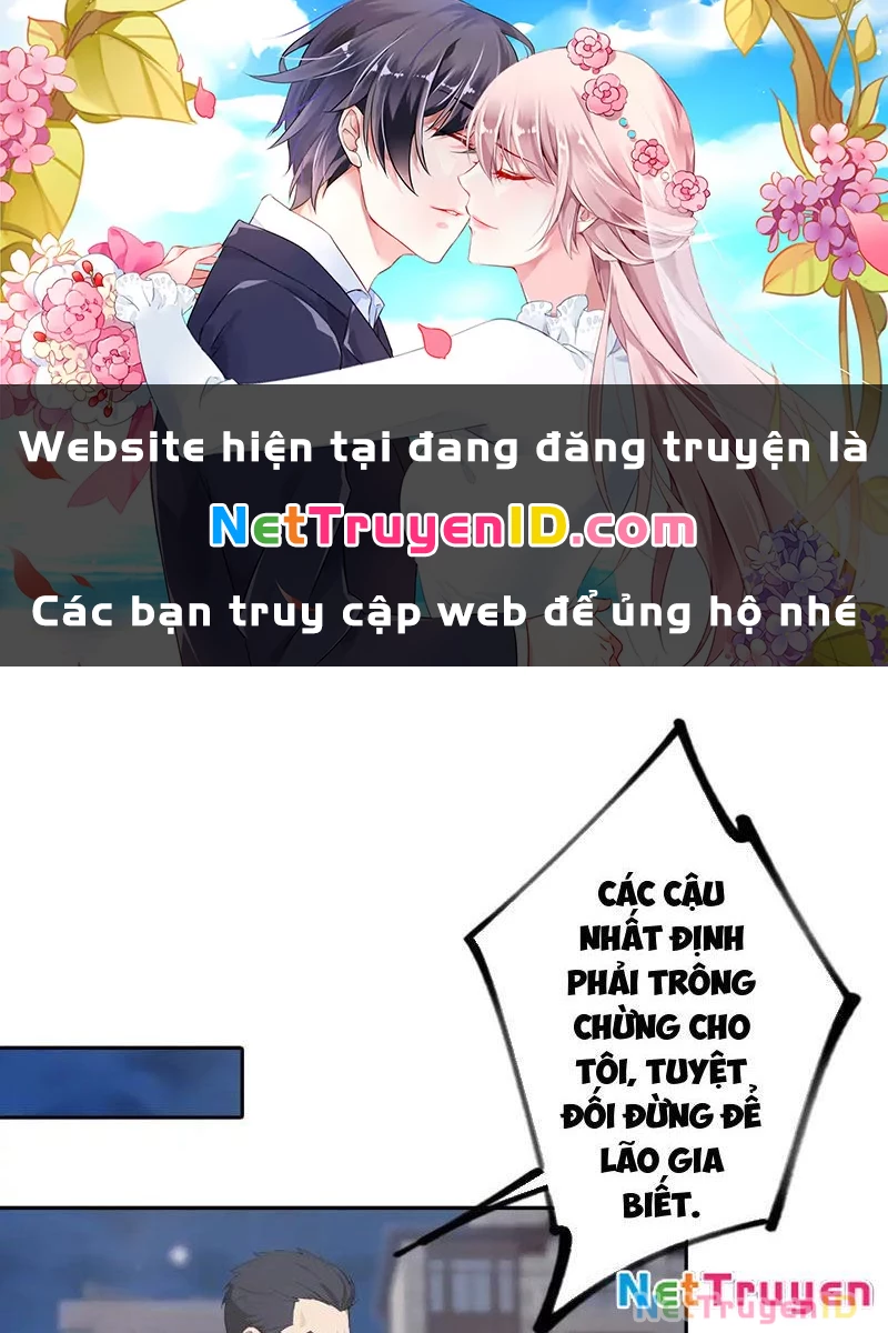 Nghịch tập hệ thống: Ta có max độ thiện cảm của nữ thần Chapter 20 - Trang 2
