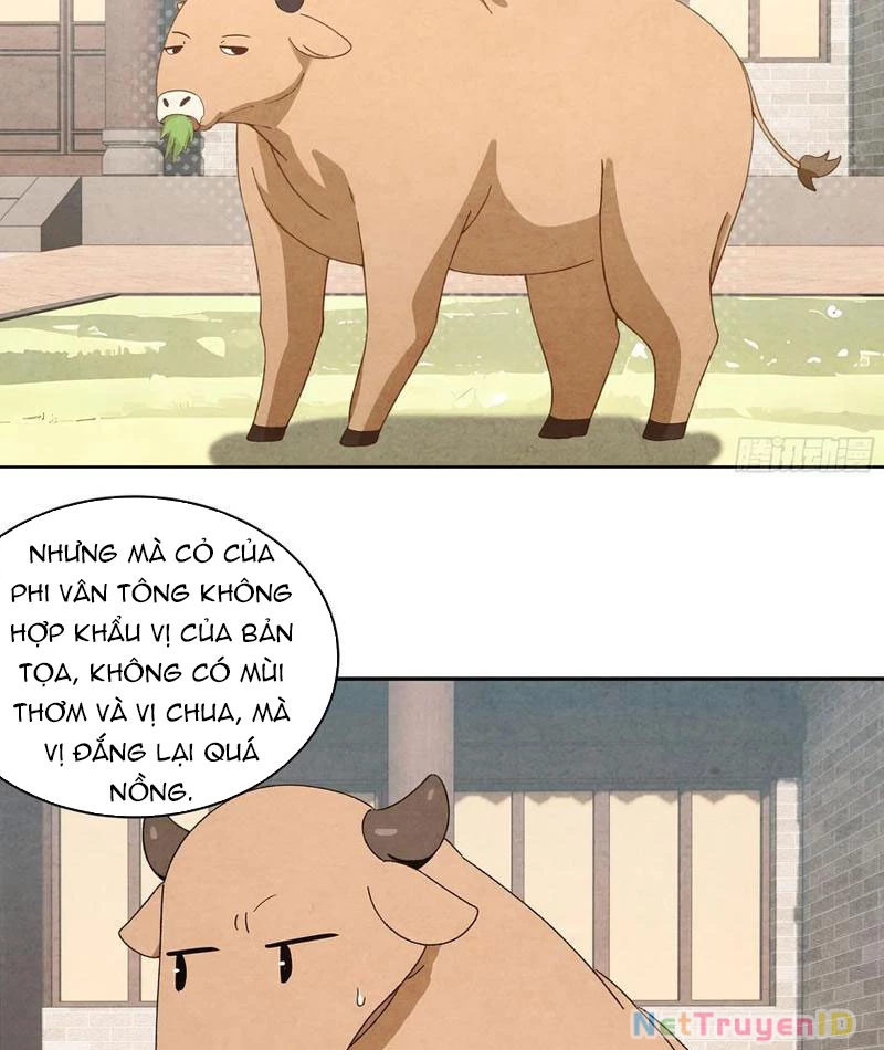 Bách Thê Phổ: Thánh nữ đều gọi ta là phu quân Chapter 34 - Trang 3