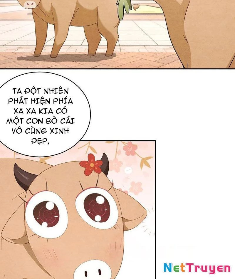 Bách Thê Phổ: Thánh nữ đều gọi ta là phu quân Chapter 34 - Trang 3