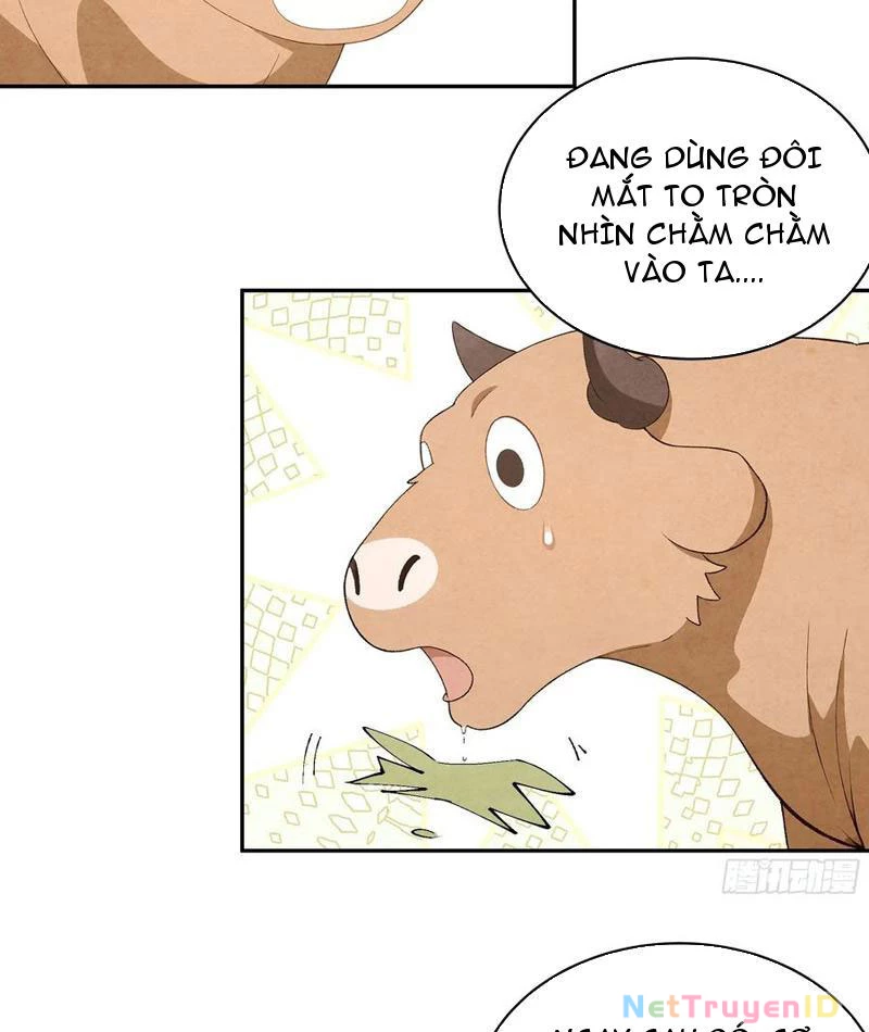 Bách Thê Phổ: Thánh nữ đều gọi ta là phu quân Chapter 34 - Trang 3