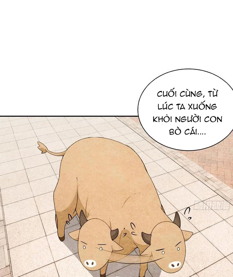 Bách Thê Phổ: Thánh nữ đều gọi ta là phu quân Chapter 34 - Trang 3