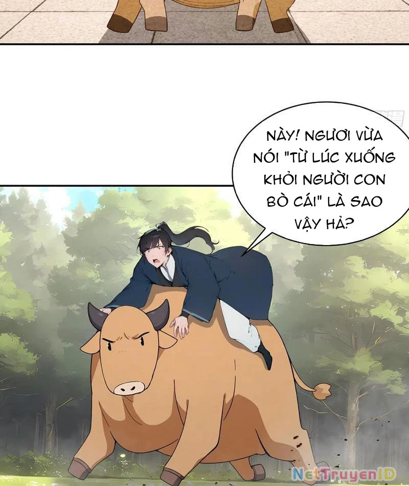 Bách Thê Phổ: Thánh nữ đều gọi ta là phu quân Chapter 34 - Trang 3