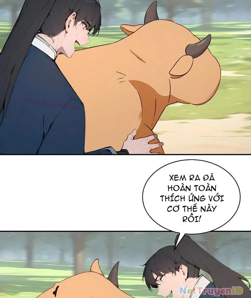 Bách Thê Phổ: Thánh nữ đều gọi ta là phu quân Chapter 34 - Trang 3