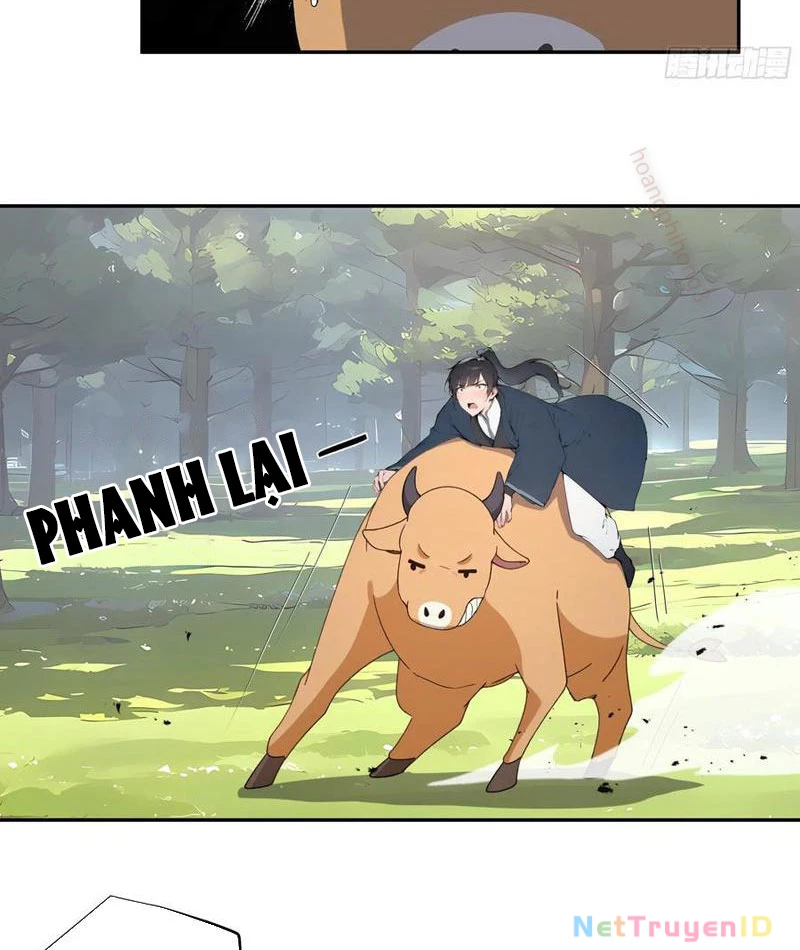 Bách Thê Phổ: Thánh nữ đều gọi ta là phu quân Chapter 34 - Trang 3