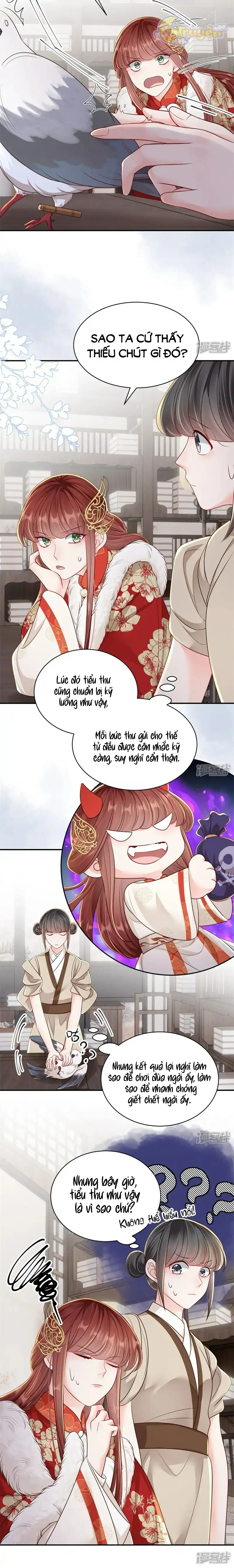Phú Bà Xuyên Không : Thế Tử Không Dễ Lừa Gạt Chapter 86 - Trang 3