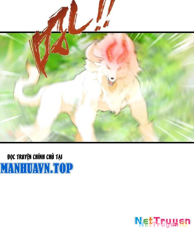 Đô Thị Thánh Thủ: Ta Là Y Võ Đỉnh Phong Chapter 111 - Trang 3