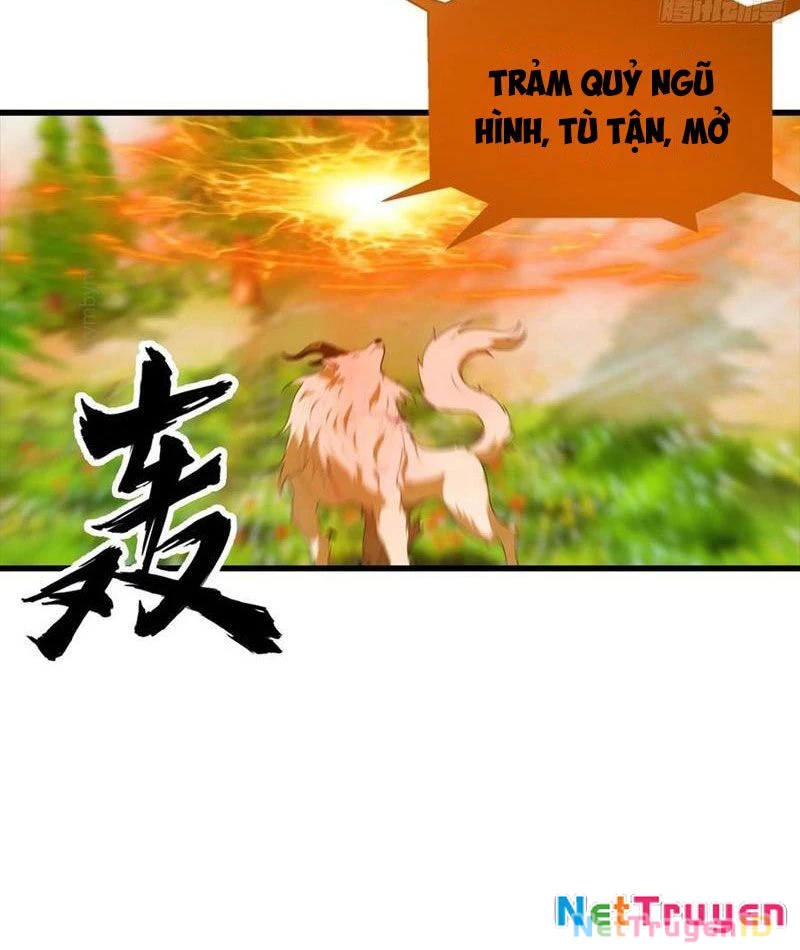 Đô Thị Thánh Thủ: Ta Là Y Võ Đỉnh Phong Chapter 111 - Trang 3