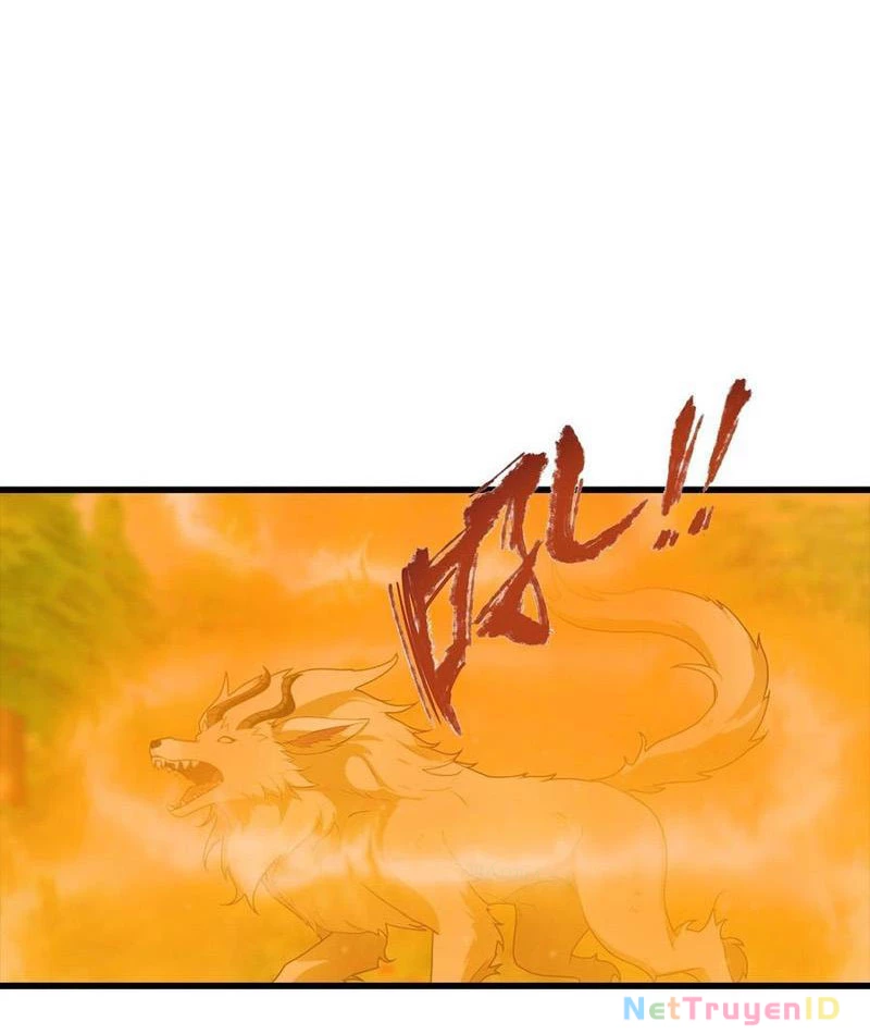 Đô Thị Thánh Thủ: Ta Là Y Võ Đỉnh Phong Chapter 111 - Trang 3