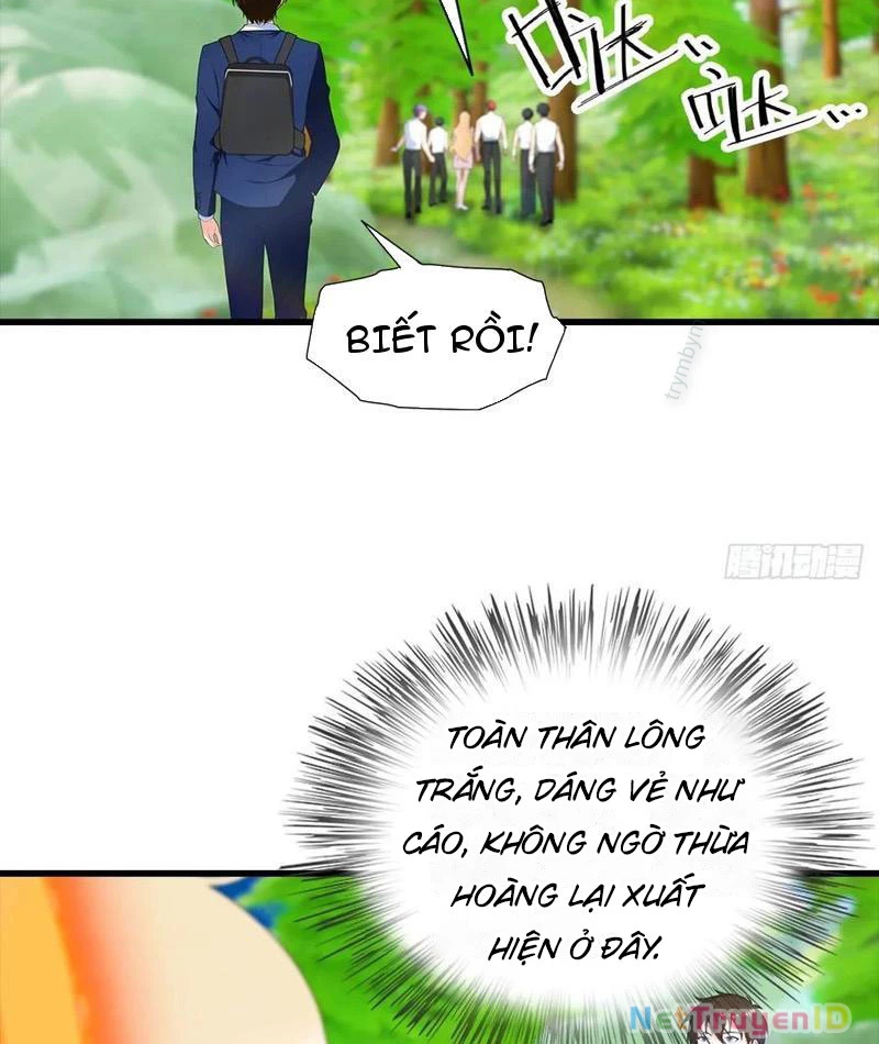 Đô Thị Thánh Thủ: Ta Là Y Võ Đỉnh Phong Chapter 112 - Trang 3