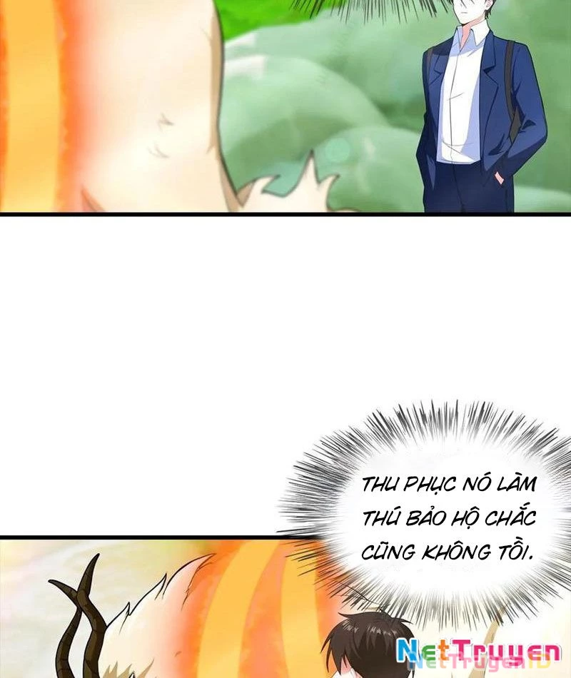 Đô Thị Thánh Thủ: Ta Là Y Võ Đỉnh Phong Chapter 112 - Trang 3