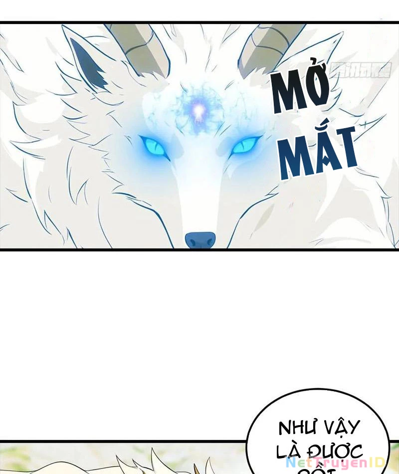 Đô Thị Thánh Thủ: Ta Là Y Võ Đỉnh Phong Chapter 112 - Trang 3