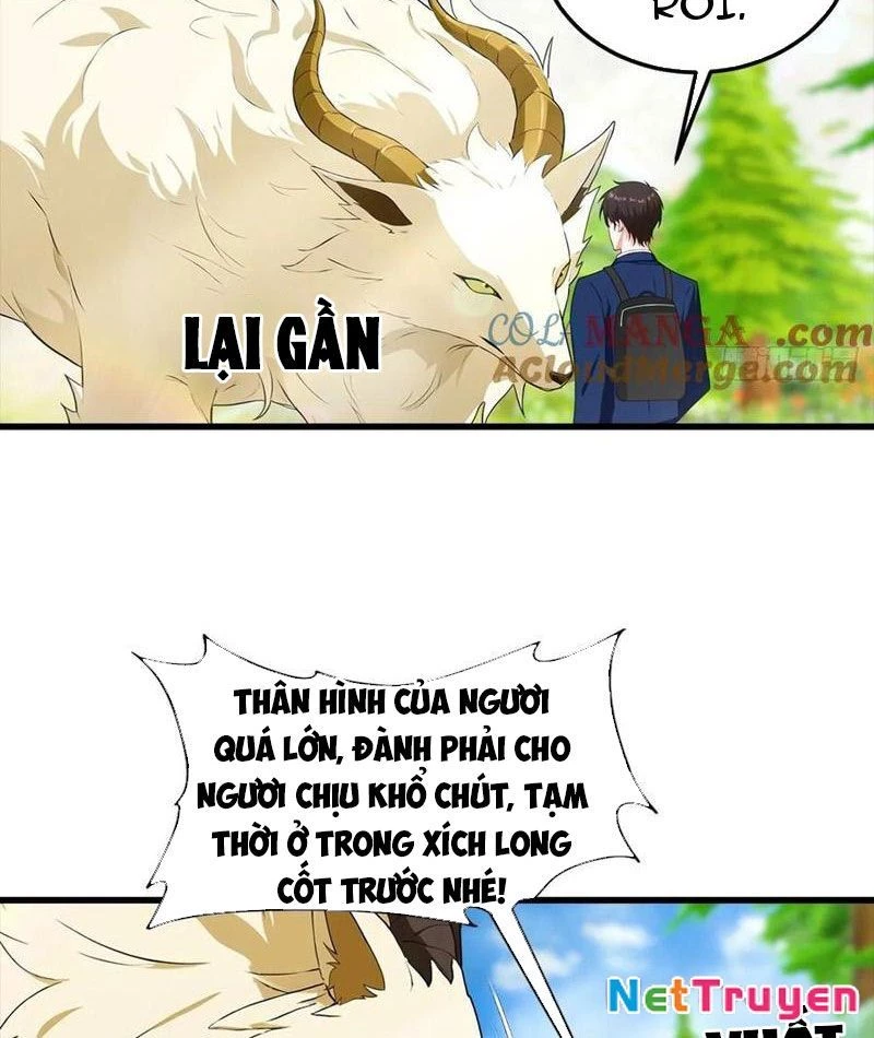 Đô Thị Thánh Thủ: Ta Là Y Võ Đỉnh Phong Chapter 112 - Trang 3