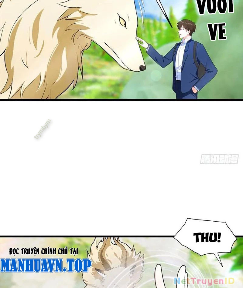 Đô Thị Thánh Thủ: Ta Là Y Võ Đỉnh Phong Chapter 112 - Trang 3