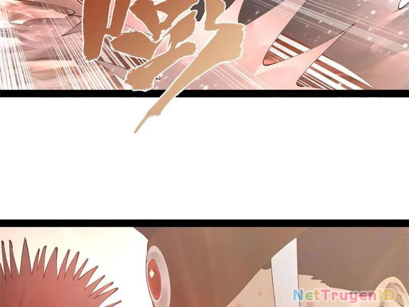 Chàng Rể Mạnh Nhất Lịch Sử Chapter 274 - Trang 4