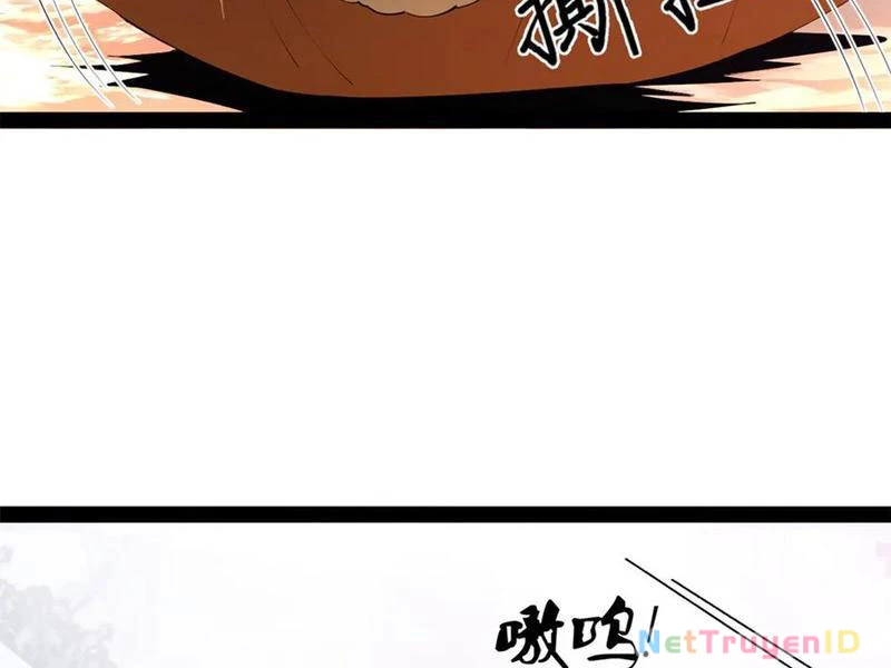 Chàng Rể Mạnh Nhất Lịch Sử Chapter 274 - Trang 4