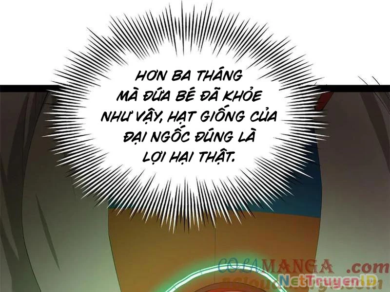 Chàng Rể Mạnh Nhất Lịch Sử Chapter 274 - Trang 4