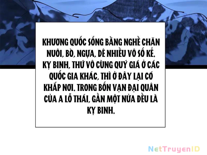 Chàng Rể Mạnh Nhất Lịch Sử Chapter 274 - Trang 4