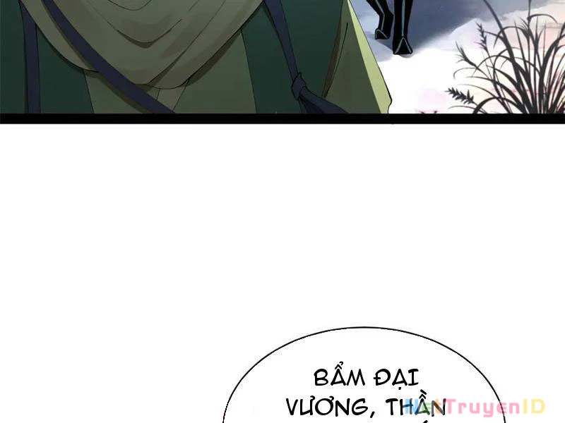 Chàng Rể Mạnh Nhất Lịch Sử Chapter 274 - Trang 4