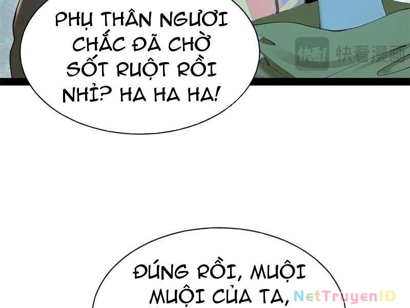 Chàng Rể Mạnh Nhất Lịch Sử Chapter 274 - Trang 4