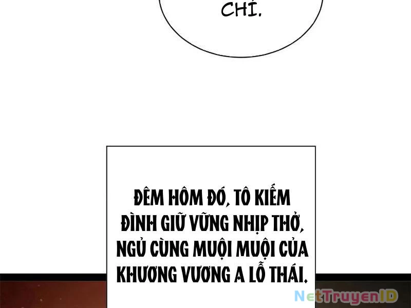 Chàng Rể Mạnh Nhất Lịch Sử Chapter 274 - Trang 4