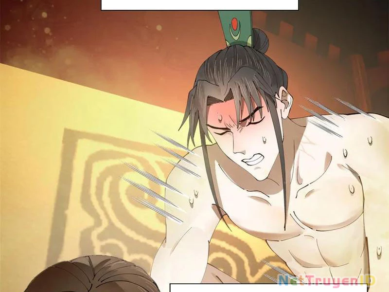Chàng Rể Mạnh Nhất Lịch Sử Chapter 274 - Trang 4