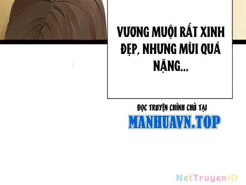 Chàng Rể Mạnh Nhất Lịch Sử Chapter 274 - Trang 4