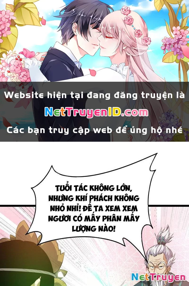 Xuyên Không Đến Thế Giới Tu Chân, Ta Vậy Mà Kích Hoạt Được Hệ Thống Plants vs Zombie Chapter 8 - Trang 3