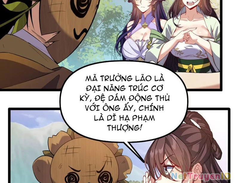 Xuyên Không Đến Thế Giới Tu Chân, Ta Vậy Mà Kích Hoạt Được Hệ Thống Plants vs Zombie Chapter 8 - Trang 3