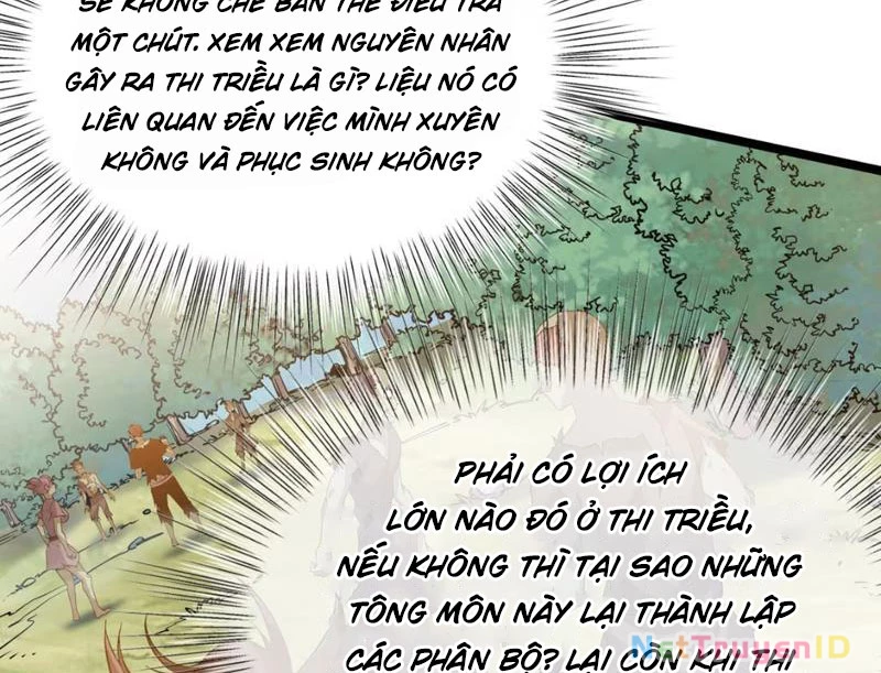 Xuyên Không Đến Thế Giới Tu Chân, Ta Vậy Mà Kích Hoạt Được Hệ Thống Plants vs Zombie Chapter 8 - Trang 3