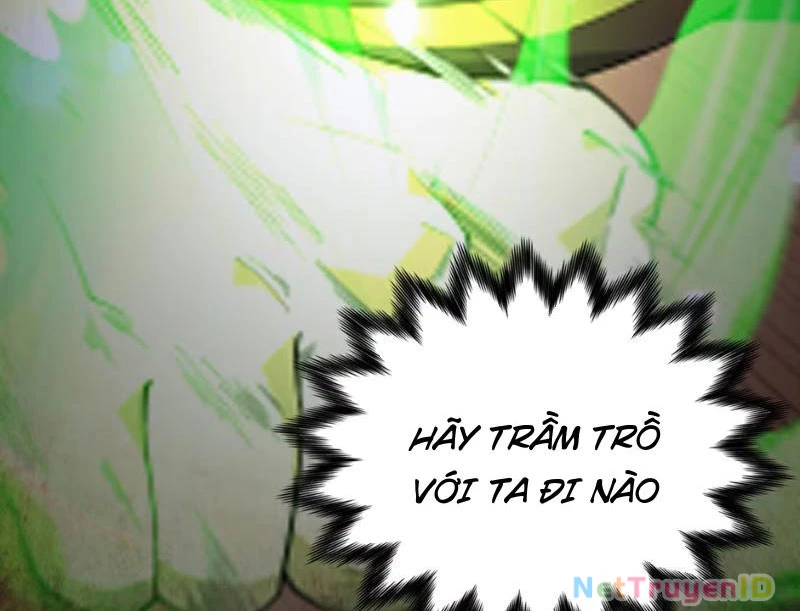 Xuyên Không Đến Thế Giới Tu Chân, Ta Vậy Mà Kích Hoạt Được Hệ Thống Plants vs Zombie Chapter 8 - Trang 3