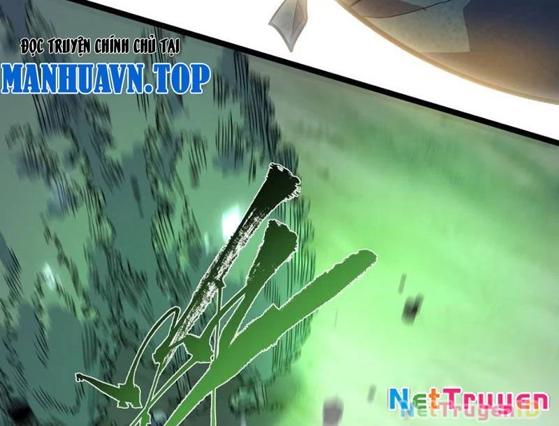 Xuyên Không Đến Thế Giới Tu Chân, Ta Vậy Mà Kích Hoạt Được Hệ Thống Plants vs Zombie Chapter 8 - Trang 3