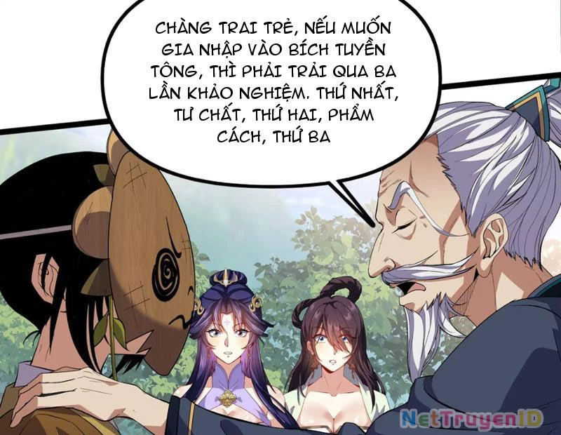 Xuyên Không Đến Thế Giới Tu Chân, Ta Vậy Mà Kích Hoạt Được Hệ Thống Plants vs Zombie Chapter 8 - Trang 3