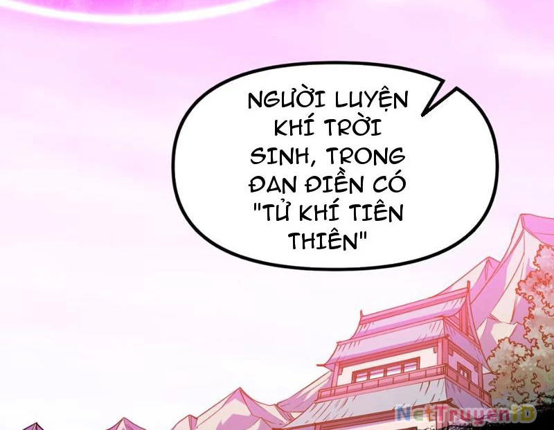 Xuyên Không Đến Thế Giới Tu Chân, Ta Vậy Mà Kích Hoạt Được Hệ Thống Plants vs Zombie Chapter 8 - Trang 3