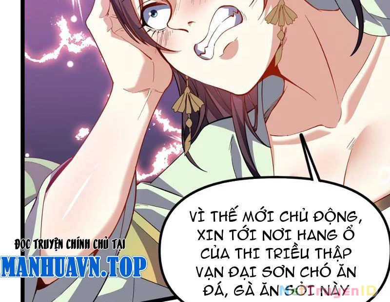 Xuyên Không Đến Thế Giới Tu Chân, Ta Vậy Mà Kích Hoạt Được Hệ Thống Plants vs Zombie Chapter 8 - Trang 3