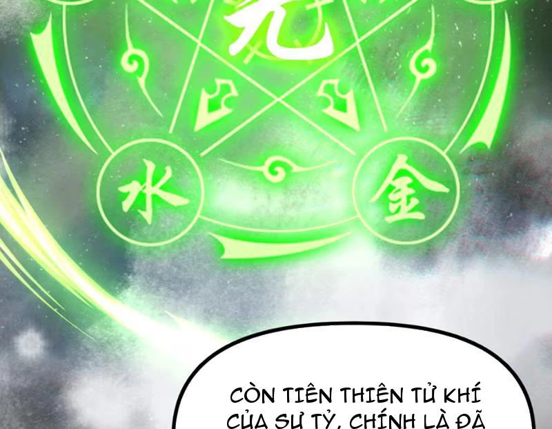 Xuyên Không Đến Thế Giới Tu Chân, Ta Vậy Mà Kích Hoạt Được Hệ Thống Plants vs Zombie Chapter 8 - Trang 3