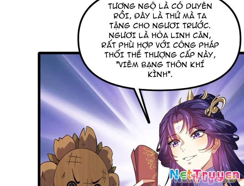 Xuyên Không Đến Thế Giới Tu Chân, Ta Vậy Mà Kích Hoạt Được Hệ Thống Plants vs Zombie Chapter 8 - Trang 3