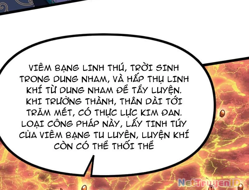Xuyên Không Đến Thế Giới Tu Chân, Ta Vậy Mà Kích Hoạt Được Hệ Thống Plants vs Zombie Chapter 8 - Trang 3