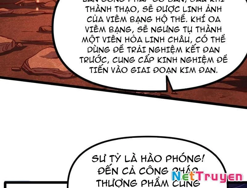 Xuyên Không Đến Thế Giới Tu Chân, Ta Vậy Mà Kích Hoạt Được Hệ Thống Plants vs Zombie Chapter 8 - Trang 3