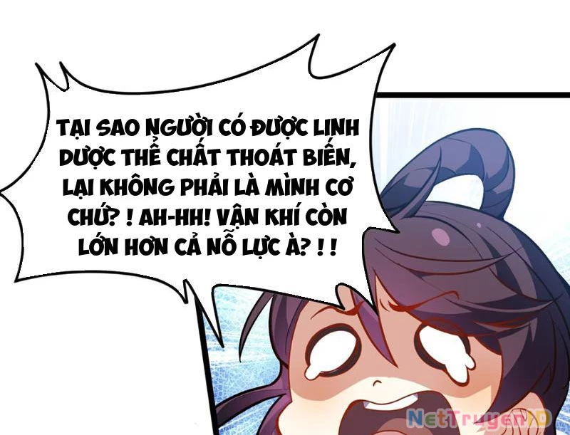 Xuyên Không Đến Thế Giới Tu Chân, Ta Vậy Mà Kích Hoạt Được Hệ Thống Plants vs Zombie Chapter 8 - Trang 3