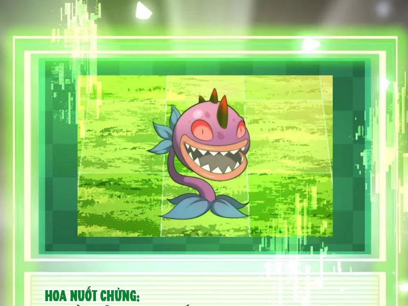 Xuyên Không Đến Thế Giới Tu Chân, Ta Vậy Mà Kích Hoạt Được Hệ Thống Plants vs Zombie Chapter 9 - Trang 3
