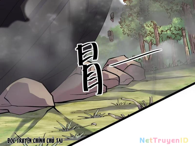 Xuyên Không Đến Thế Giới Tu Chân, Ta Vậy Mà Kích Hoạt Được Hệ Thống Plants vs Zombie Chapter 9 - Trang 3