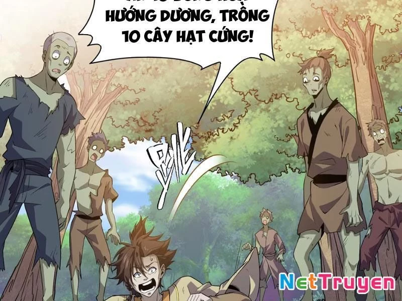 Xuyên Không Đến Thế Giới Tu Chân, Ta Vậy Mà Kích Hoạt Được Hệ Thống Plants vs Zombie Chapter 9 - Trang 3